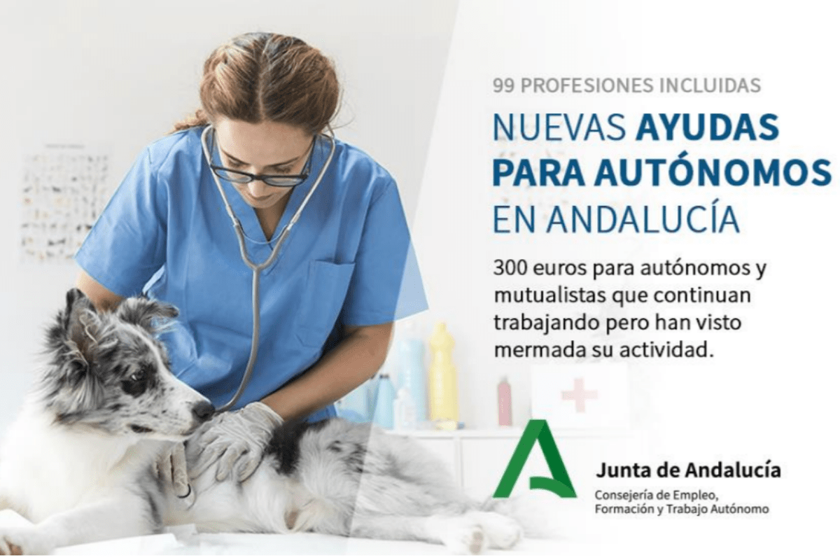 nuevas ayudas para autónomos en Andalucía